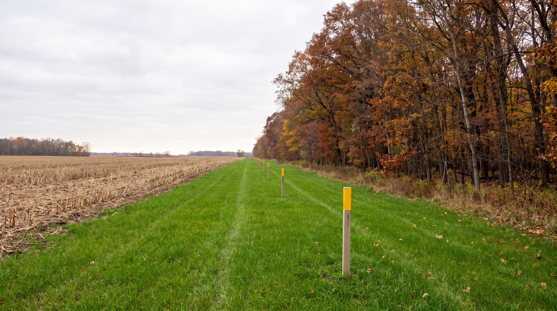 A mowed pipeline right of way with yellow marker posts, running between a harvested cornfield and autumn woods.